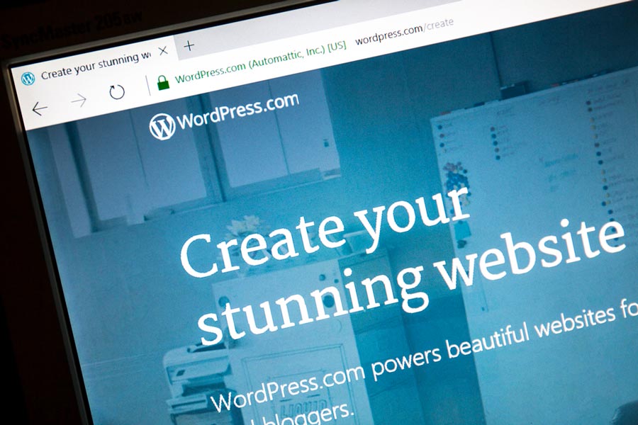 A picture of WordPress website